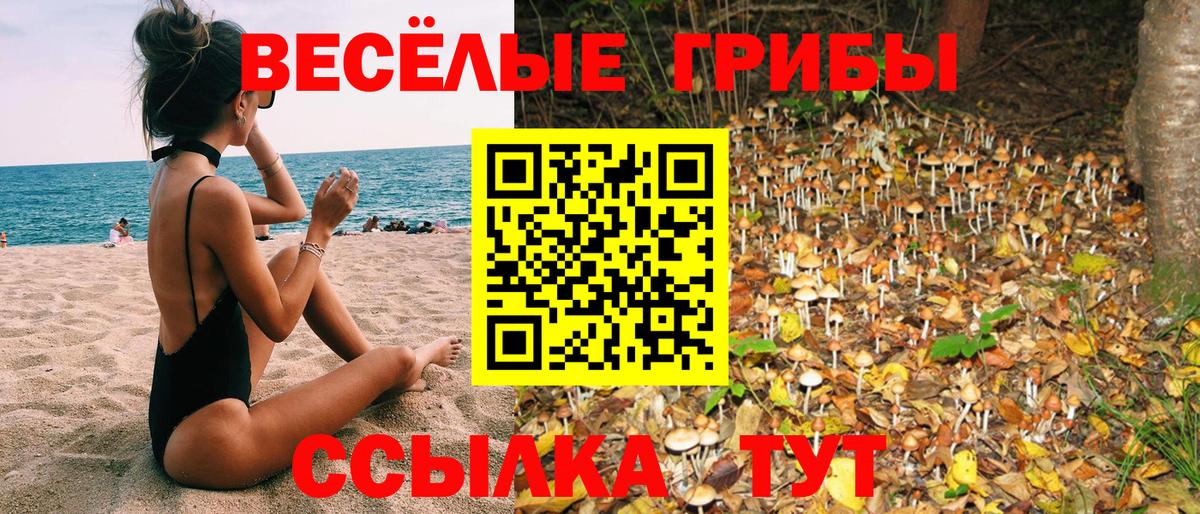 Галлюциногенные грибы мицелий  Галлюциногенные грибы Magic Shrooms  Лениногорск  Вход с VPN 